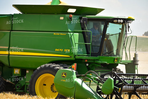 Wheat Harvest 148028