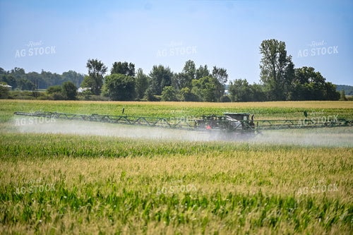 Self-Propellerd Sprayer in Corn Field 90137