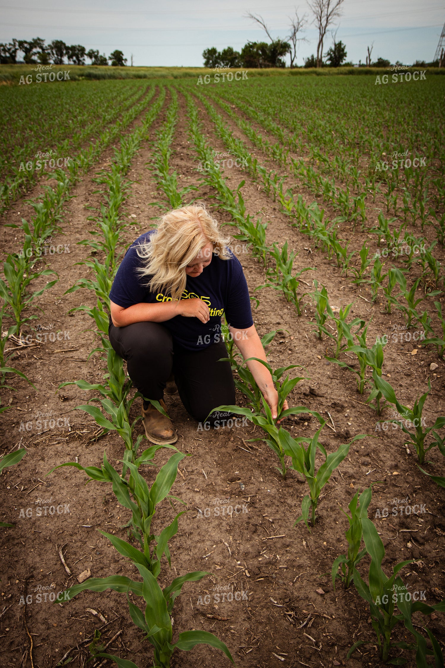 Female Agronomist Scouting Field 67736