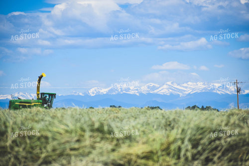 Wheat Hay Harvest 56118