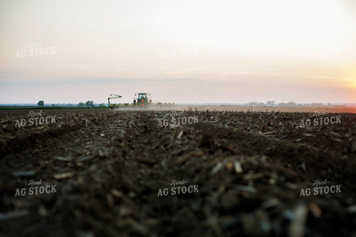 Planting 1954