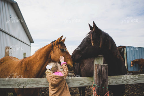 Farm Kid Petting Horse 169010