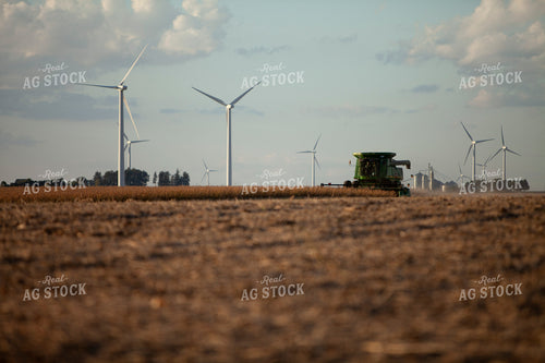 Harvest 1800