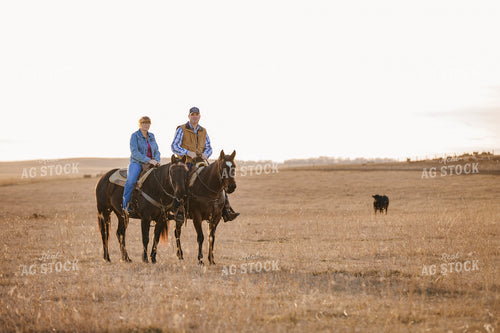 Ranchers on Horseback 285019