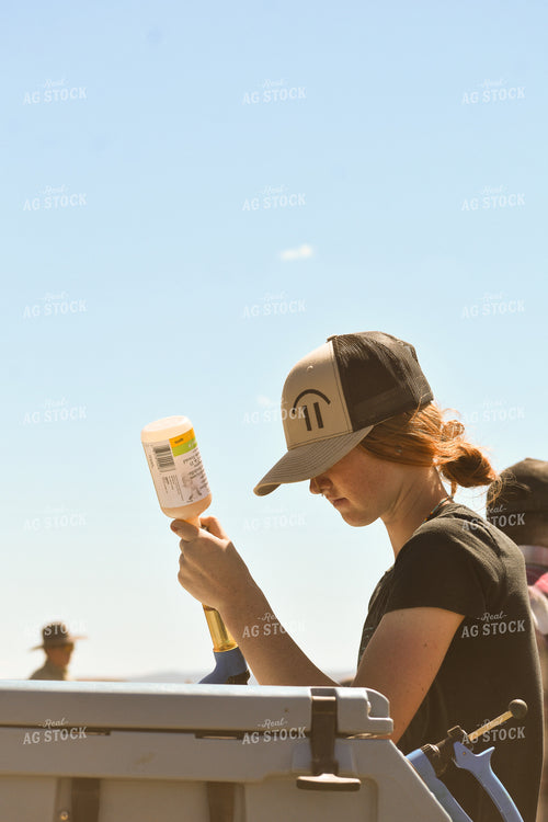 Female Rancher Loading Vaccine Gun 263000