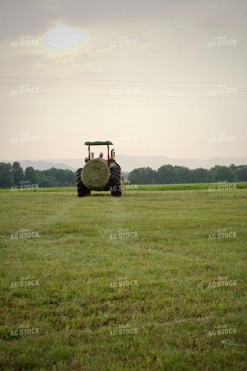 Putting Up Hay 251169