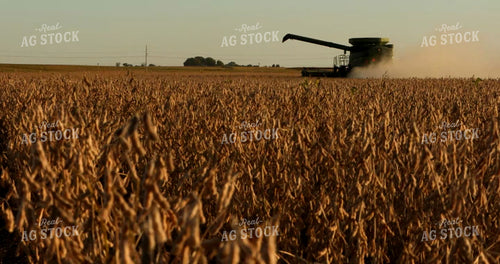 Combine Harvesting Soybeans 5392