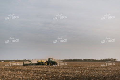 Planting 8231