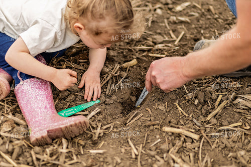 Farmer and Daughter Checking Soybeans 93293