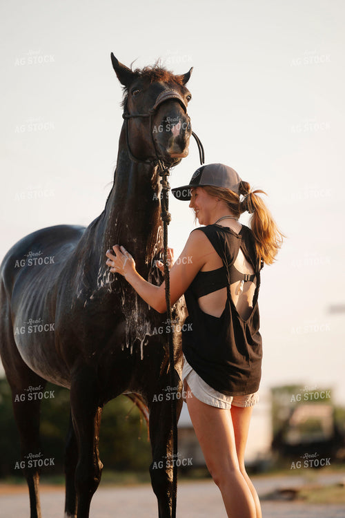 Washing Horse 205105