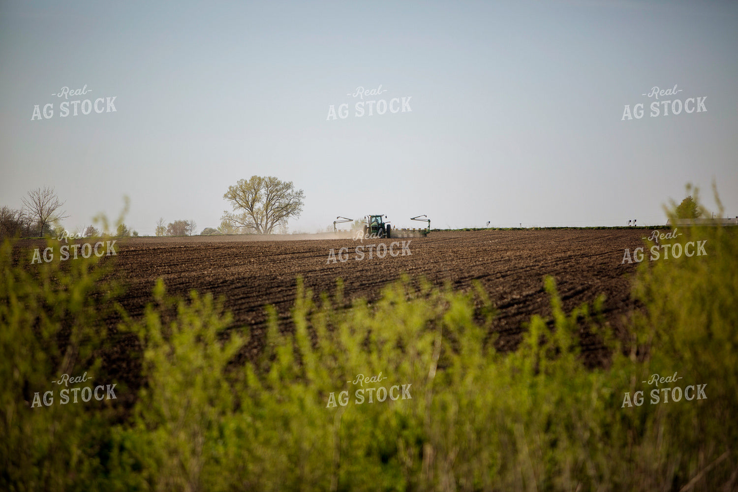 Planting 1911