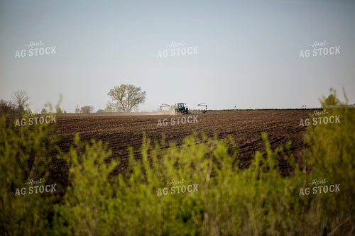Planting 1911