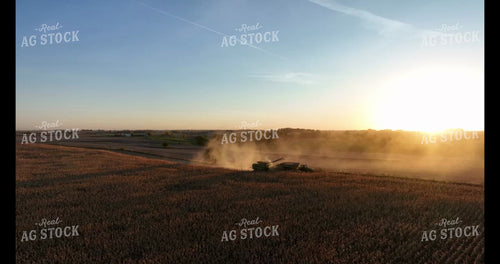 Moving Cattle 274045