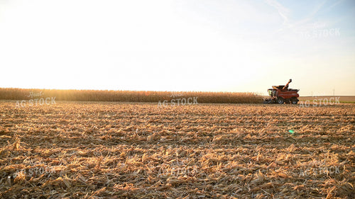 Combine Harvesting Corn at Sunset 25788