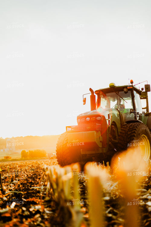 Corn Silage Harvest 272051