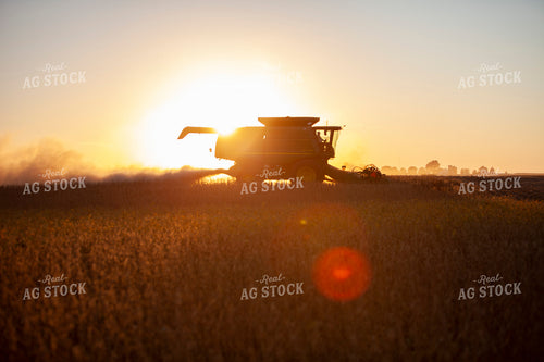 Harvest 1832