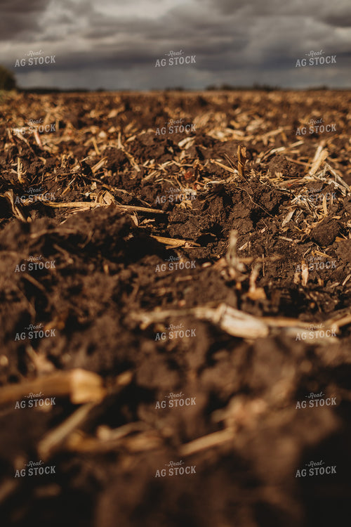 Freshly Plowed Dirt Under Cloudy Rainy Sky 3366