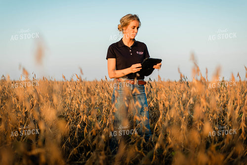 Female Agronomist on Tablet in Field 8325
