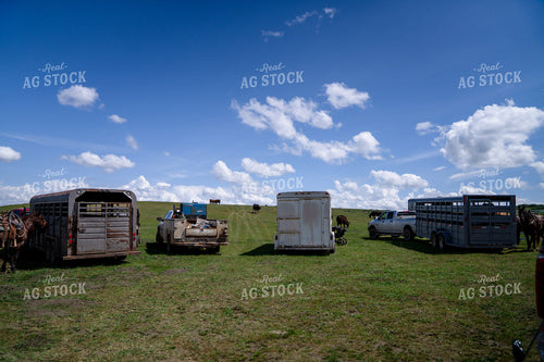 Trucks and Trailers Parked in an Open Field Under a Blue Sky 65226