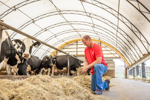 Farmer Holding TMR 270377