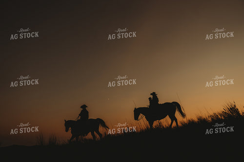 Silhouette of Ranch Family on Horseback 61237