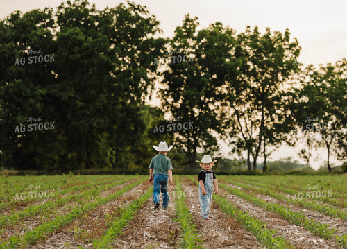 Farm Kids in Cornfield 115304