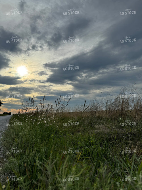 Scenic Summer Landscape 228024