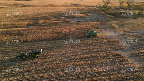 Aerial of Corn Harvest 268270