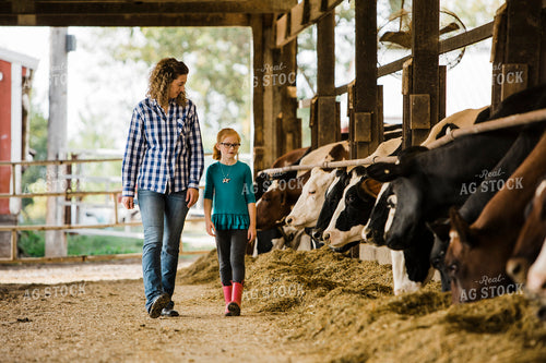 Dairy 2699