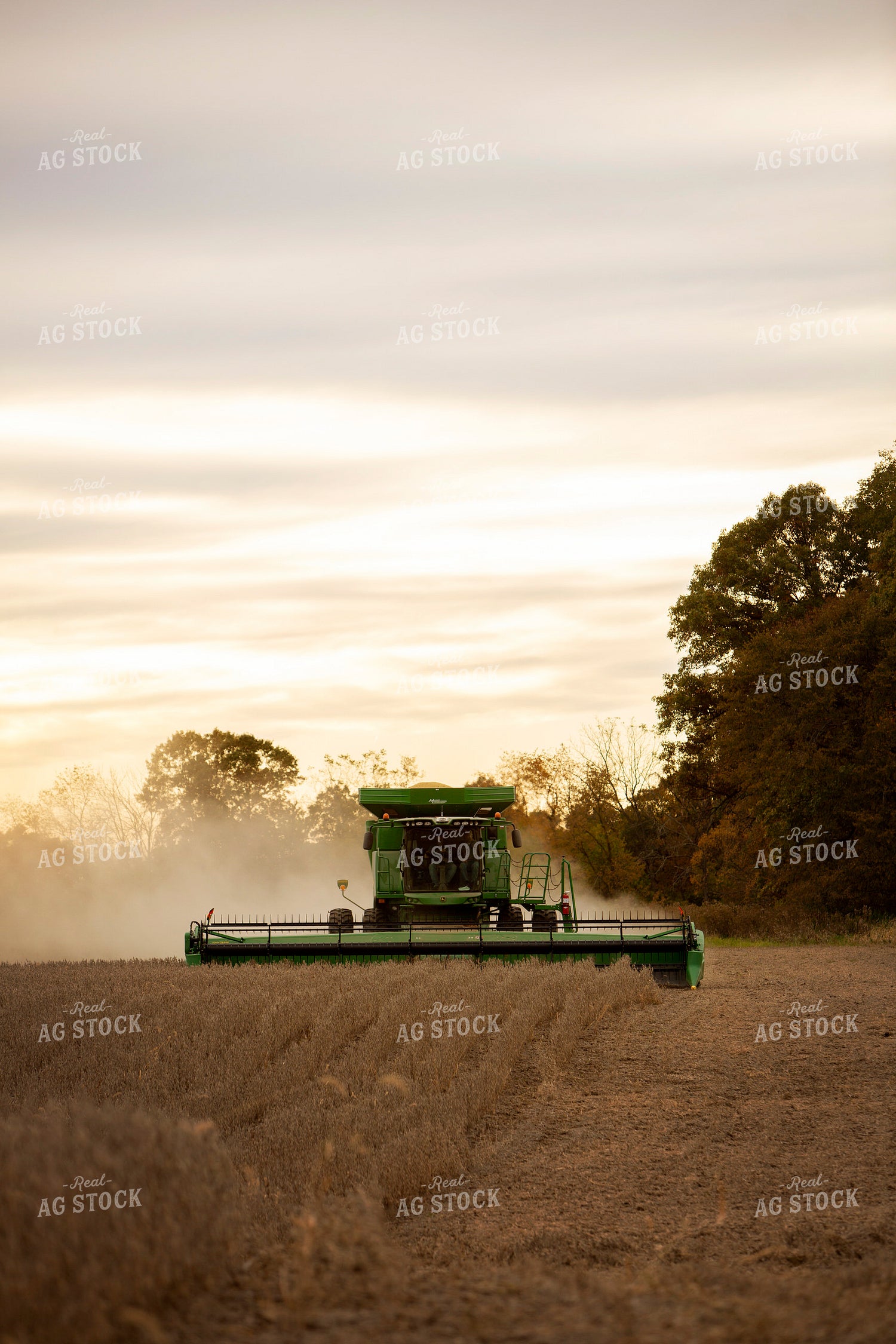 Harvest 2619