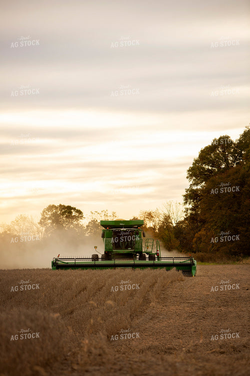 Harvest 2619