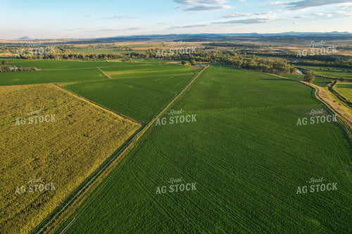 Aerial of Farmland in Summer 261073