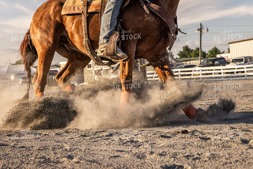 Equine Roping Show 270108