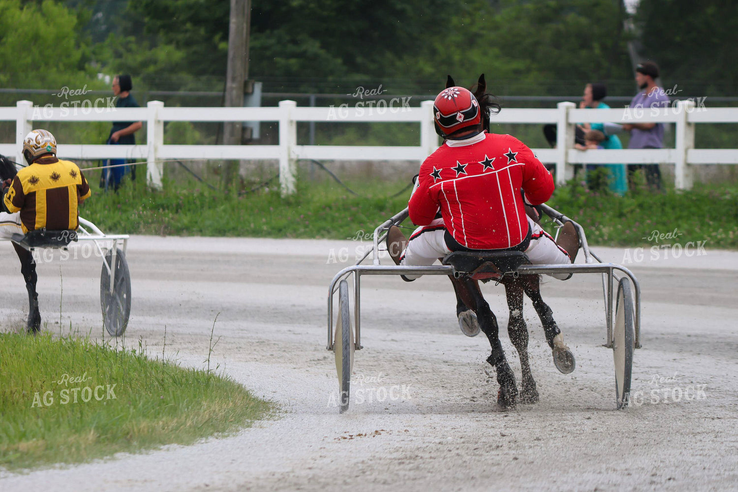 Harness Racing 109142