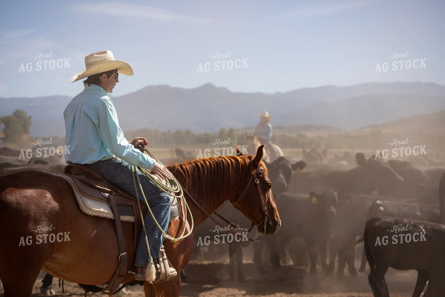 Cowboy on Horseback 117371