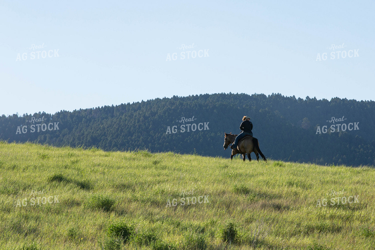 Rancher on Horse 81034