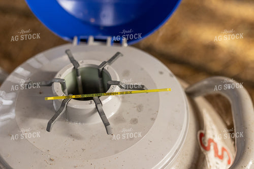 Bull Semen in Liquid Nitrogen Tank 52403