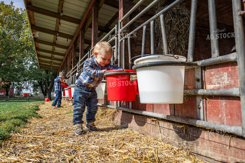 Farm Kids Feeding Calves 270023