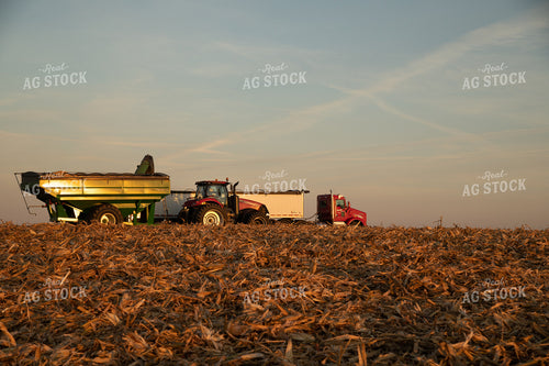 Tractor Unloading Corn into the Semi Hopper 25844