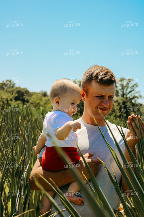 Farmer in Corn Field with Curled Leaves 101060