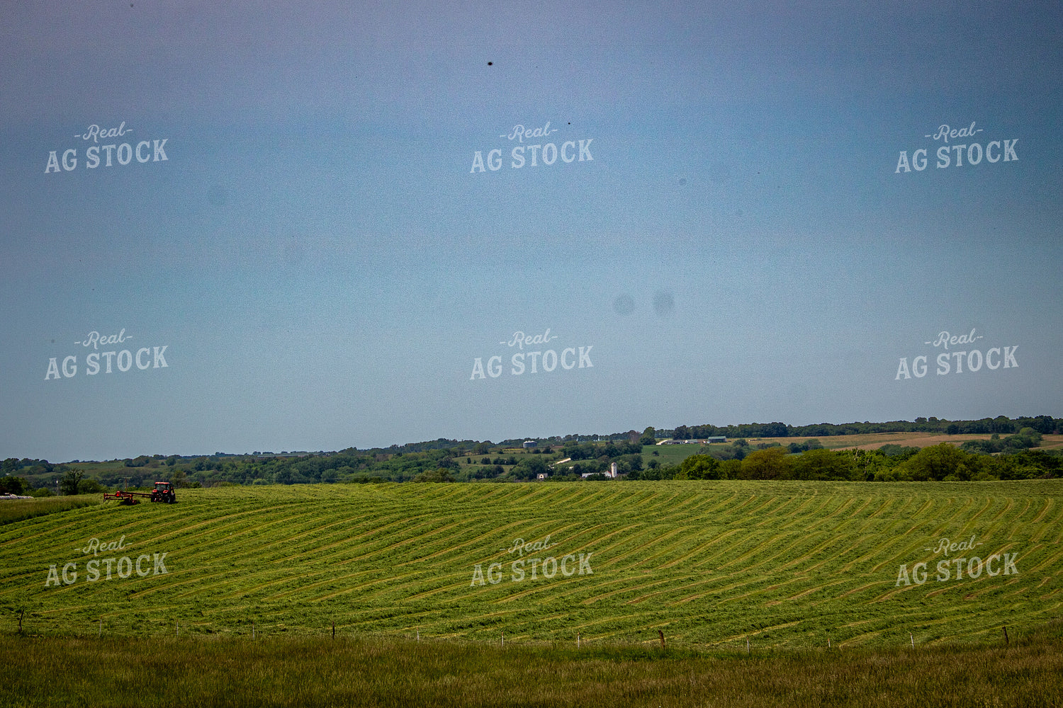 Cutting Hay 214144
