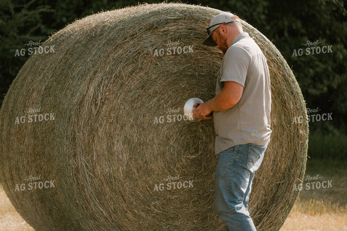 Farmer Checking Hay Moisture 125391