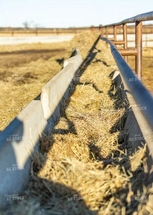 Feed Bunk with Hay 264068