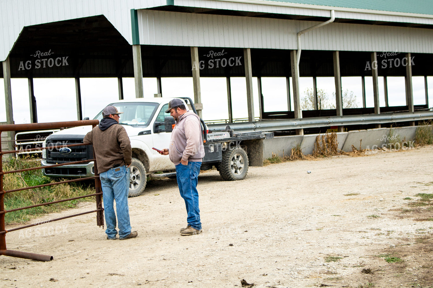 Farmer Talking on Farm 214271