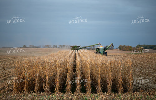 Combine Harvesting Corn and Loading Grain Cart 76088