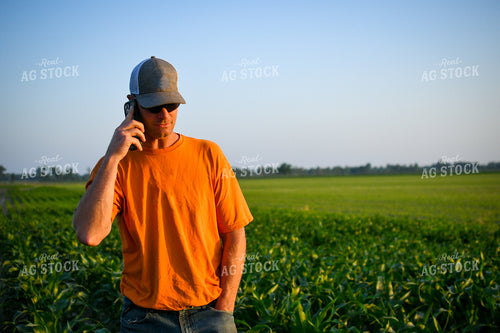 Farmer on Phone while Checking Corn 191123