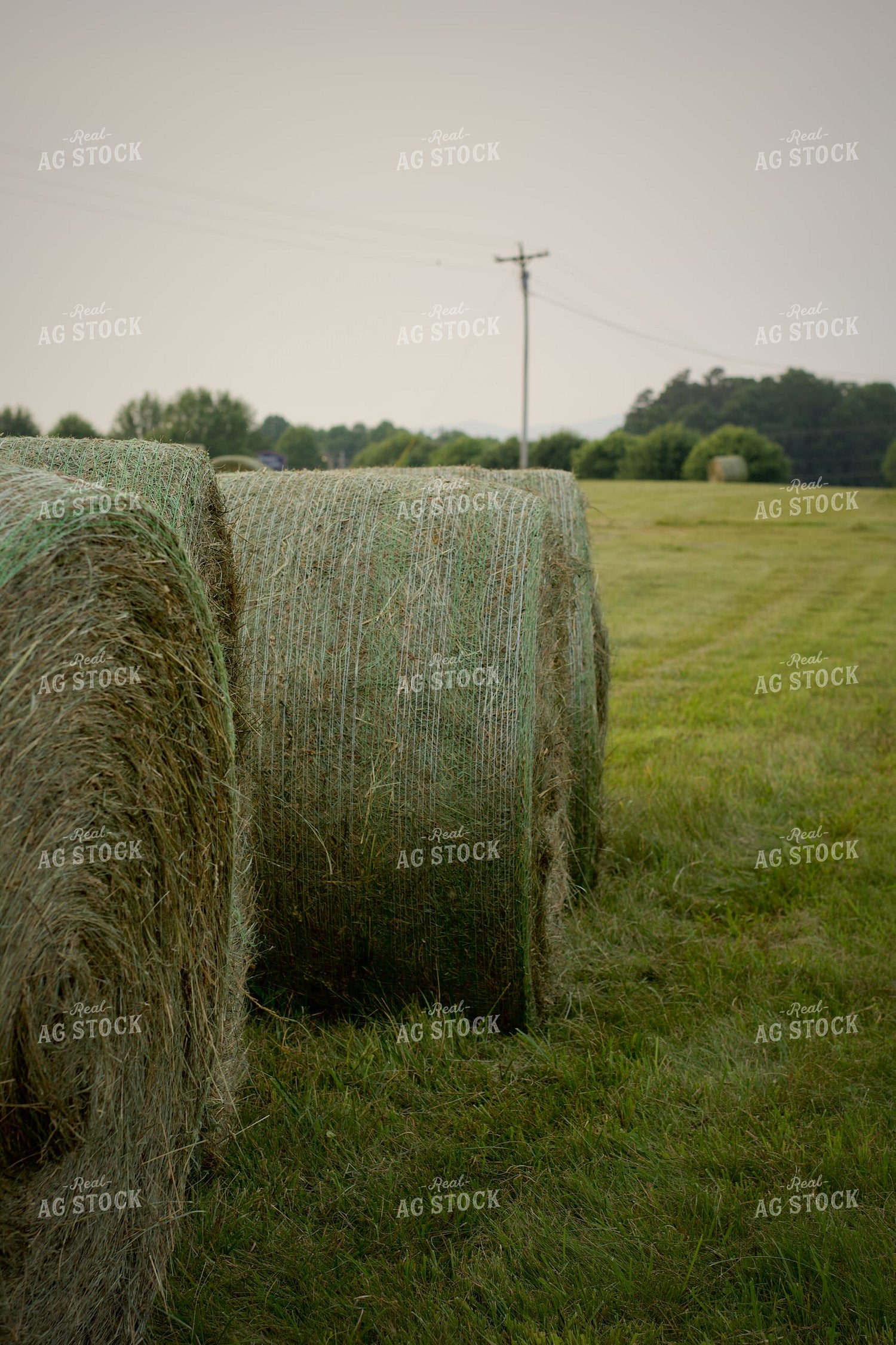 Round Hay Bales 251175