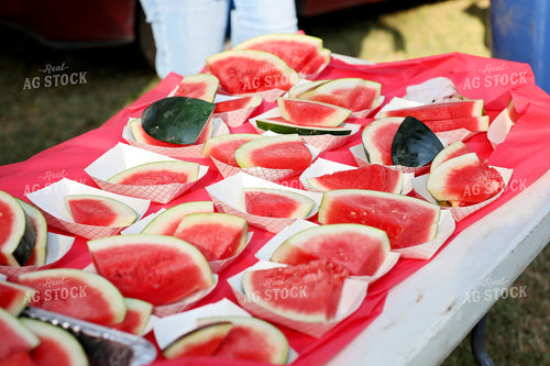 Watermelon 127130