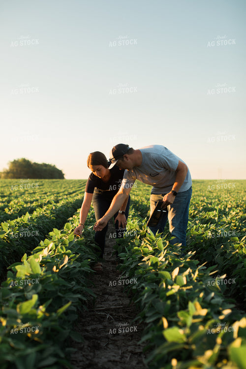 Agronomist and Farmer Scouting Soybean Field 6122