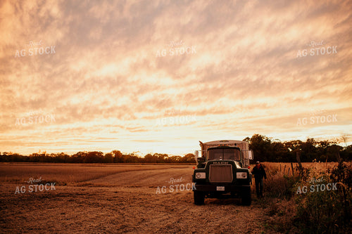 Harvest 2660